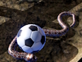 Laro Python Snake Simulator online