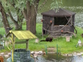 Laro Misteryo Lake Escape  online