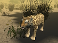 Laro African Cheetah Hunting Simulator online