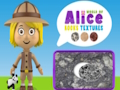 Laro Mundo ng Alice Rocks Textures  online