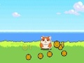 Laro Hamster Kombat Clicker online