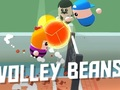 Laro Volley beans online