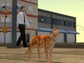Laro Cat City Simulator online