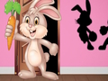 Laro Hanapin ang Bunny Hopkin  online