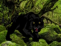 Laro Tumakas mula sa Black Panther Forest  online