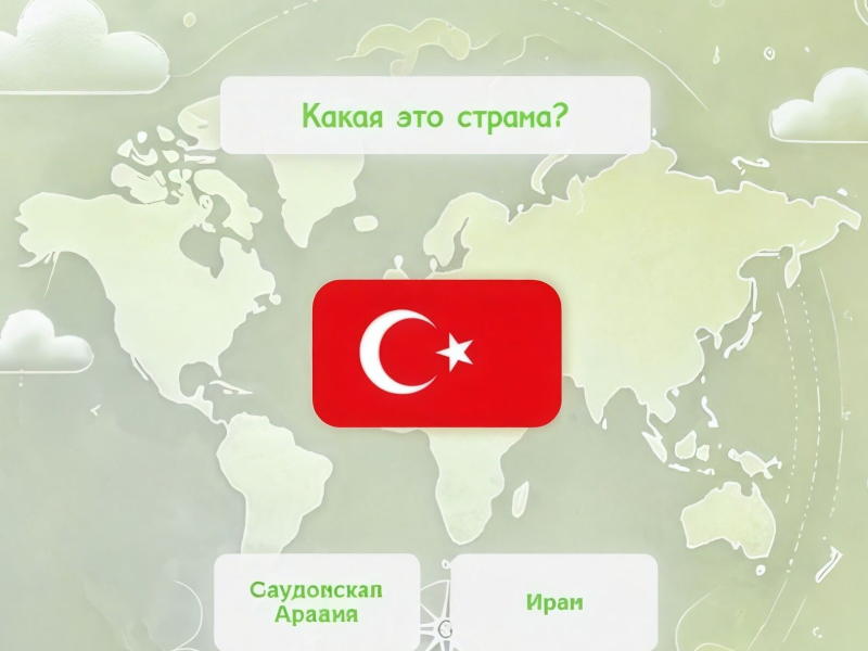 Laro Flag Master online