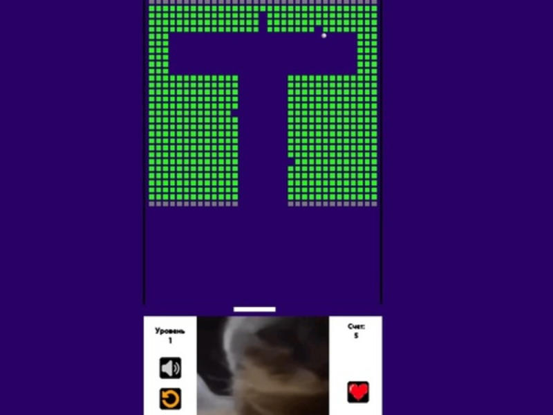 Laro Brick Breaker Chipi Chipi Chapa Cat online