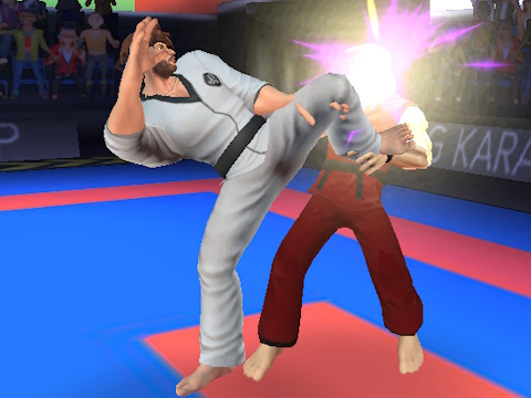 Laro Karate Fighter online