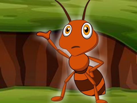 Laro Hanapin ang Ant Cart Wheel  online