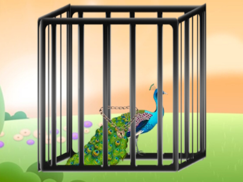 Laro Iligtas ang nagliliwanag na peacock  online