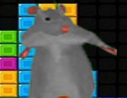 Laro Ratomilton bumabagsak na mga bloke  online