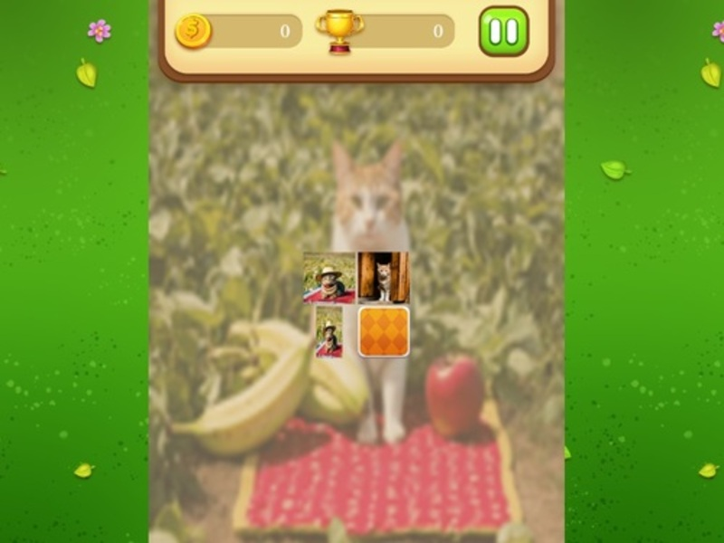 Laro Match ng memorya ng farm cat online