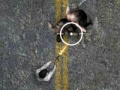 Laro Undead highway online
