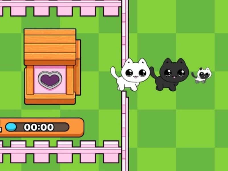 Laro Ang aking mga kuting. Catworld online