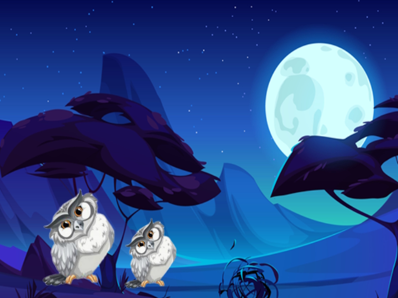 Laro Night Paws Rescue online