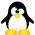 Penguin online